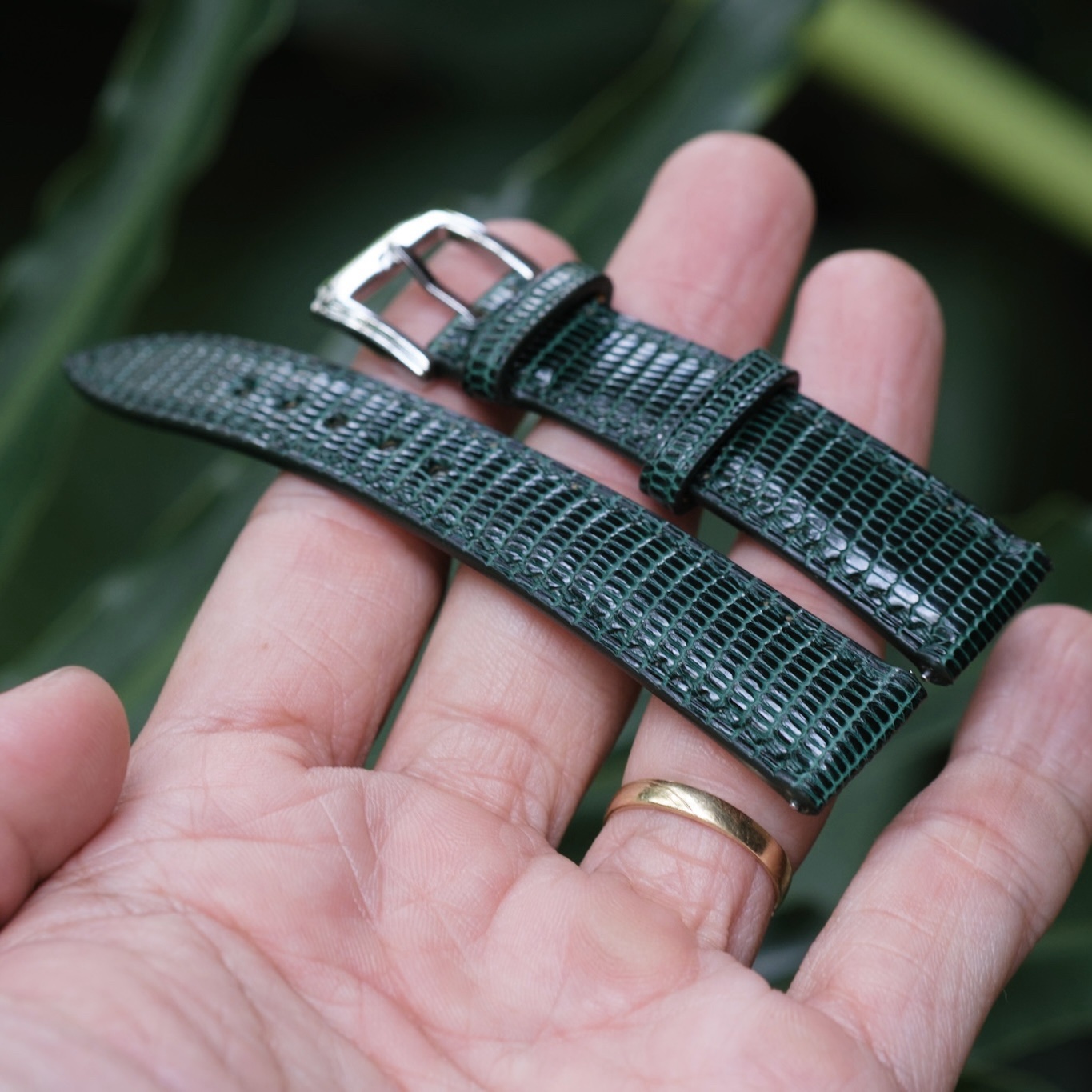 Watchstraps - Lizardskin